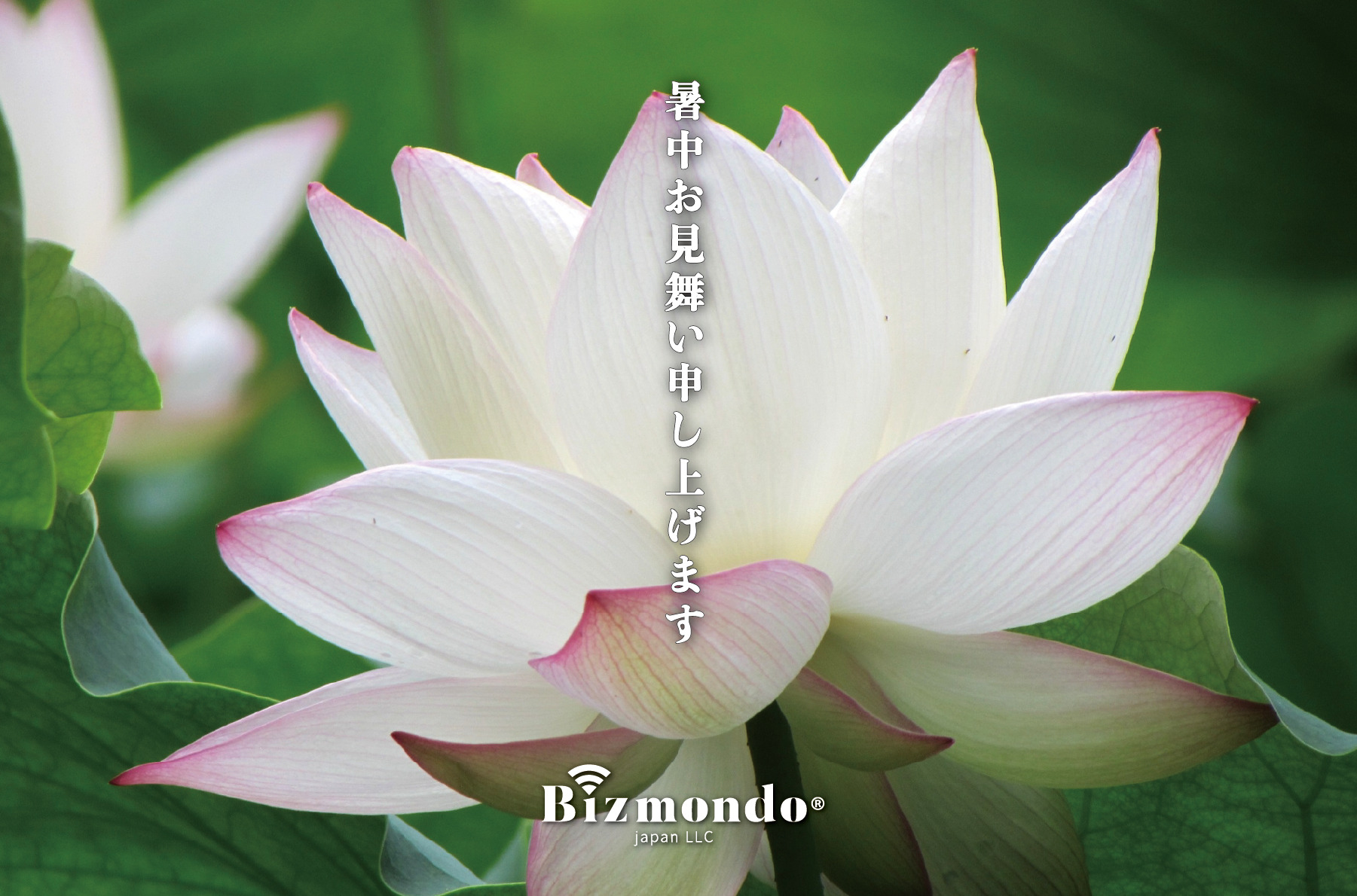 暑中お見舞い申し上げます
